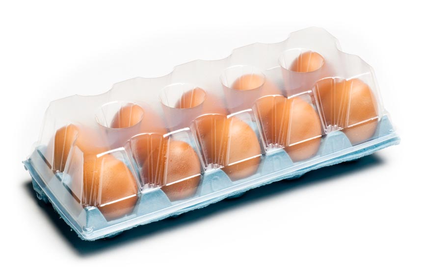 Envase huevos TF10 SODESA