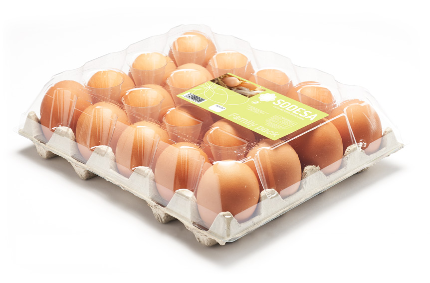 Envase huevos TF20 M-L SODESA
